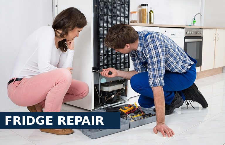 Fridge Repair Headley